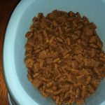 Hundefutter: schon oft getestet