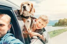 Urlaub mit Hund: Joggen, Wandern, Fahrrad fahren mit Hund und Spaß