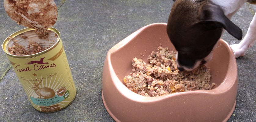 Bild 6: Für Terra Canis Kaninchen mit Zucchini, Amaranth und Bärlauch kommt sogar ein Junior dazu und leckt die Reste aus dem Napf.