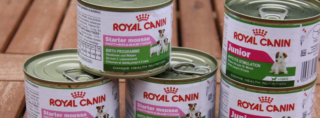 Royal Canin Nassfutter Starter Mousse Mother & Babydog und Royal Canin Mini Junior im Test