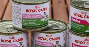 Royal Canin Nassfutter Starter Mousse Mother & Babydog und Royal Canin Mini Junior im Test