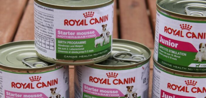 Royal Canin Nassfutter Starter Mousse Mother & Babydog und Royal Canin Mini Junior im Test