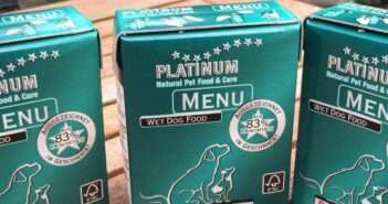 PLATINUM Pure Fish: die Alternative für Hunde mit Futtermittelunverträglichkeit im Test