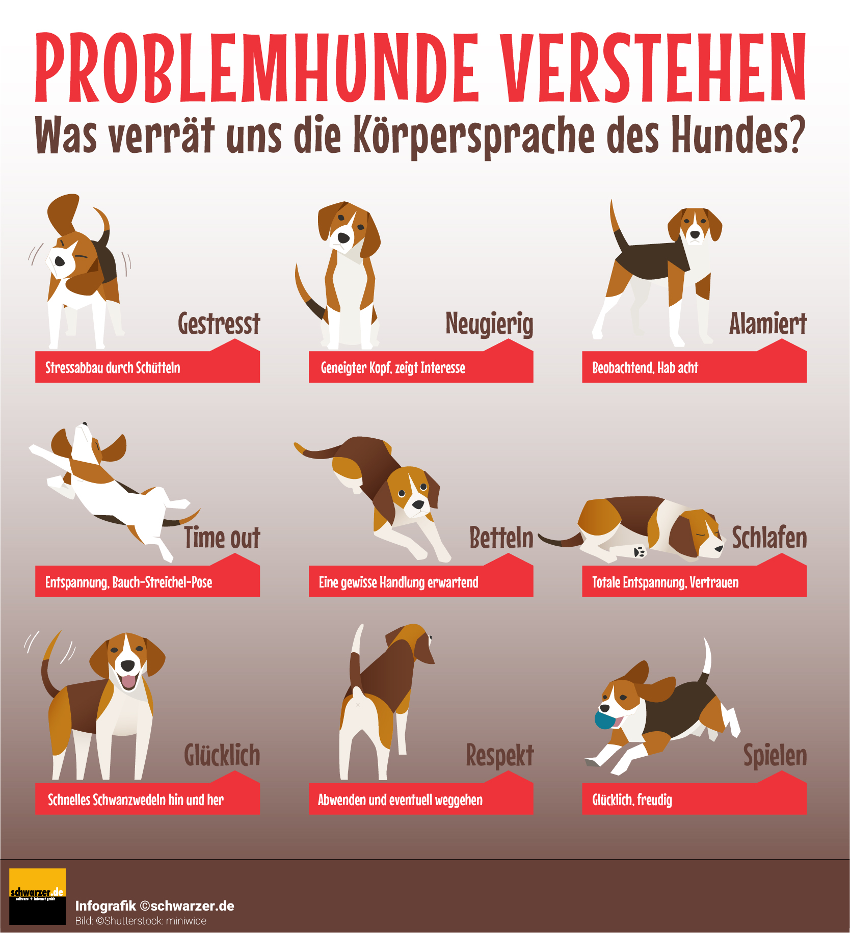 Infografik: Körpersprache von Hunden verstehen.