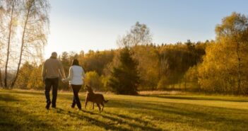 Gassi gehen: Tipps fürs Gassi gehen mit ihrem Hund