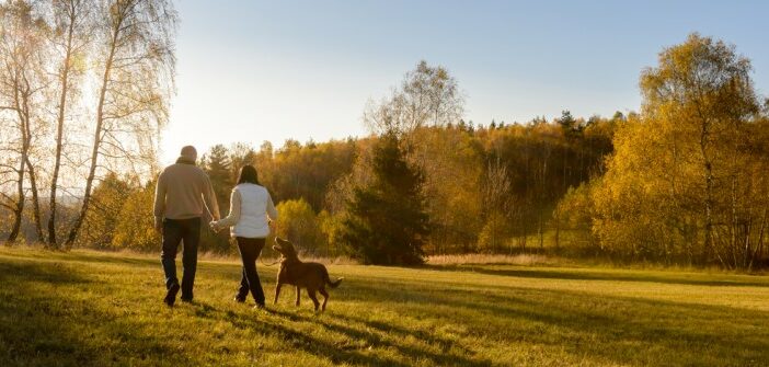 Gassi gehen: Tipps fürs Gassi gehen mit ihrem Hund