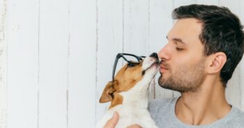 Hundebrille kaufen oder wozu braucht mein Hund eine Brille