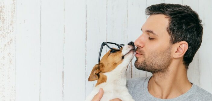 Hundebrille kaufen oder wozu braucht mein Hund eine Brille