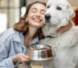 Hundefutter: wie lange haltbar? ( Lizenzdkou: Shutterstock- RossHelen )