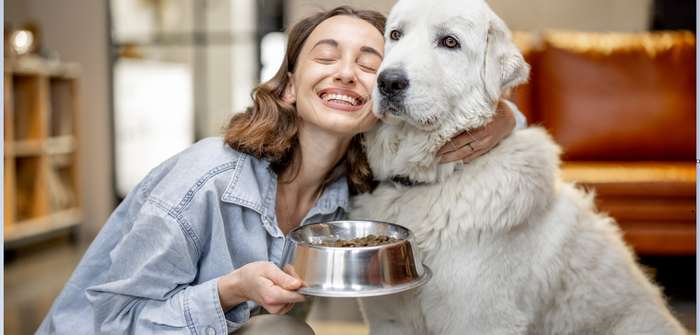 Hundefutter: wie lange haltbar? ( Lizenzdkou: Shutterstock- RossHelen )