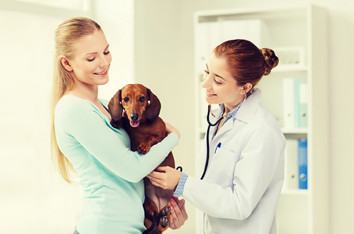 Ist Ihr Hund an Chlamydien erkrankt, kann eine Behandlung mit bestimmten Antibiotika sinnvoll sein, da es sich bei dem Erreger um ein Bakterium handelt. (#03)
