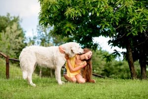 In Deutschland legen grundsätzlich die Kommunen die Höhe der Hundesteuer fest.