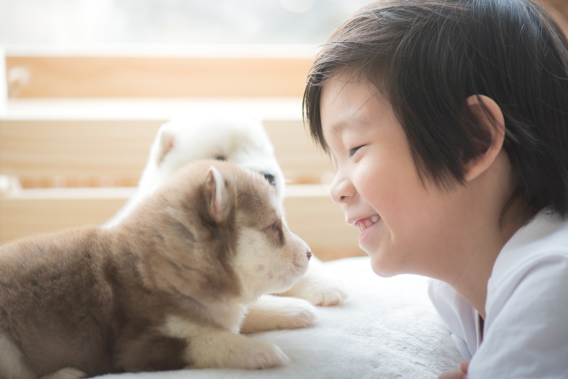 Mit einem Hund aufwachsen ist nicht nur schön, sondern lehrt Kinder Respekt vor Lebewesen und Verantwortung zu übernehmen. (#04)
