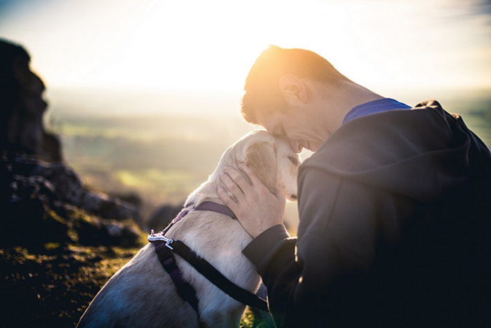 Hunde sind seit jeher treue Begleiter des Menschen. Hunde sind in der Lage, eine sehr starke emotionale Bindung zu ihren engsten Bezugspersonen aufzubauen. (#02)