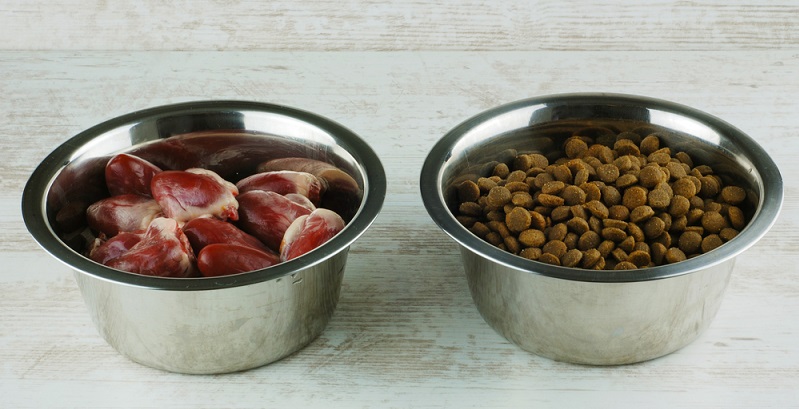 Ob es sich um Trockenfutter oder Nassfutter handelt, um besondere Sorten ohne Getreide oder um Hundesnacks, wichtig ist, dass es dem Hund schmeckt und dass er keine Probleme bei der Nahrungsaufnahme hat. (#01)