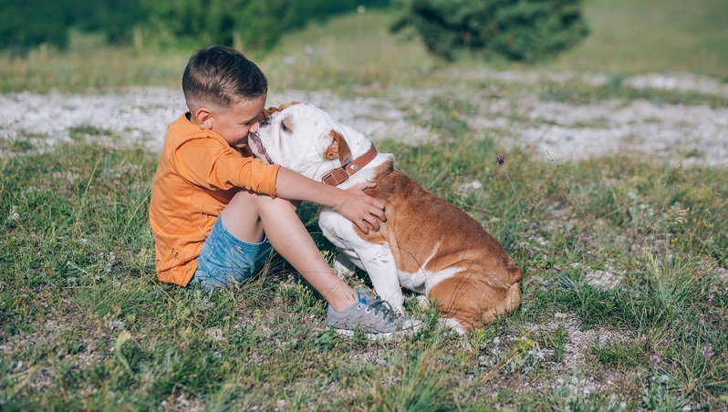 Bulldoggen, insbesondere die Welpen, verlangen viel Zuneigung und Zärtlichkeit, daher wird die Beziehung zwischen Bulldogge und Mensch von Hundehaltern auch oft als sehr intensiv empfunden. Doch Achtung: Auch mit Mut, Eigensinn und Selbstbewusstsein ist zu rechnen. (#03)