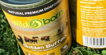 Wildborn Golden Buffalo im Test