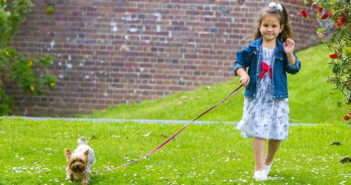 Hunde an der Leine: Erziehung und Rücksichtnahme sind gefordert