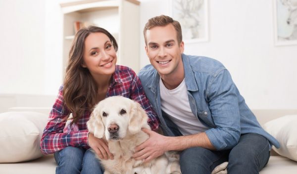 Anämie (Blutarmut) beim Hund Ursachen, Symptome & Behandlung