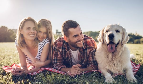 Anämie (Blutarmut) beim Hund Ursachen, Symptome & Behandlung