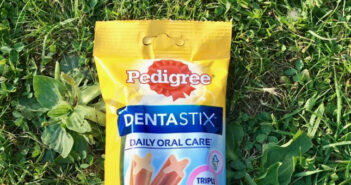 Pedigree DENTASTIX: Zahnpflegeprodukte im Test