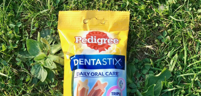 Pedigree DENTASTIX: Zahnpflegeprodukte im Test