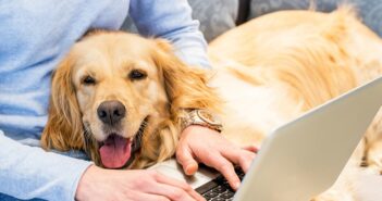 Hunde im Büro: So klappts mit dem vierbeinigen Kollegen