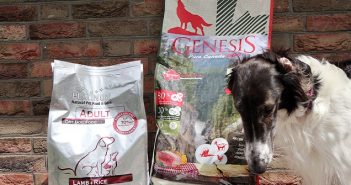 GENESIS vs. PLATINUM im Hundefutter Test vergleichen wir beide Vollnahrungen GENESIS vs. PLATINUM im Hundefutter Test vergleichen wir beide Vollnahrungen