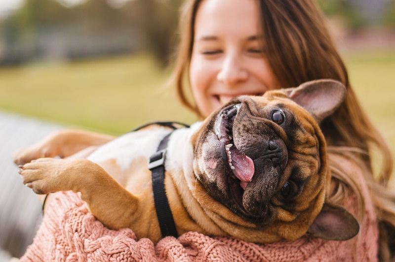Rückwärtsniesen beim Hund Symptome, Ursachen & betroffene Rassen