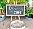 Wo sind Hunde erlaubt? Diese Plätze solltest Du alle kennen! ( Foto: Shutterstock- Tom Gowanlock )
