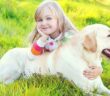 Labrador Retriever: Ein Hund für die ganze Familie (Foto: Shutterstock-Rohappy)