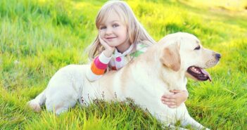 Labrador Retriever: Ein Hund für die ganze Familie (Foto: Shutterstock-Rohappy)