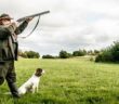 Die richtige Hunderasse für die Jagd: Was gibt es zu beachten? ( Foto: Shutterstock-Polarpx )