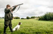 Die richtige Hunderasse für die Jagd: Was gibt es zu beachten? ( Foto: Shutterstock-Polarpx )