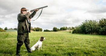 Die richtige Hunderasse für die Jagd: Was gibt es zu beachten? ( Foto: Shutterstock-Polarpx )