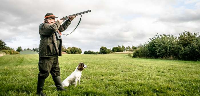 Die richtige Hunderasse für die Jagd: Was gibt es zu beachten? ( Foto: Shutterstock-Polarpx )