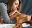 Chronische Schmerzen beim Hund: Anzeichen erkennen und behandeln ( Foto: Shutterstock-_DimaBerlin )