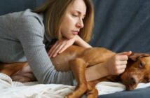 Chronische Schmerzen beim Hund: Anzeichen erkennen und behandeln ( Foto: Shutterstock-_DimaBerlin )