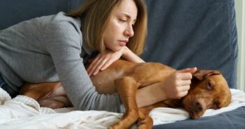 Chronische Schmerzen beim Hund: Anzeichen erkennen und behandeln ( Foto: Shutterstock-_DimaBerlin )