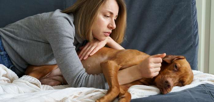 Chronische Schmerzen beim Hund: Anzeichen erkennen und behandeln ( Foto: Shutterstock-_DimaBerlin )