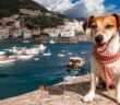 Italienische Hundenamen: 30 besondere Namen aus Bella Italia ( Foto: Shutterstock Iryna Kalamurza )
