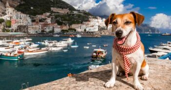 Italienische Hundenamen: 30 besondere Namen aus Bella Italia ( Foto: Shutterstock Iryna Kalamurza )
