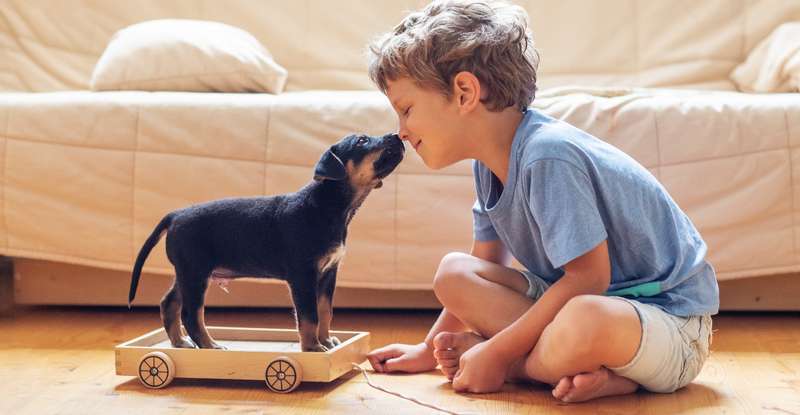 Ihr neues Hundemädchen ist zum Anbeißen süß? geben Sie ihr doch einen schönen italienischen Namen wie Madina oder Tati. ( Shutterstock  My Good Images )