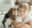 Schottische Namen: 30 ausgefallene Hundenamen für Ihren kuscheligen Neuankömmling ( Foto: Adobe Stock-nuzza11 )