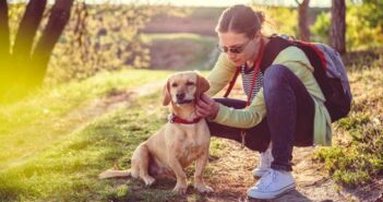 Bestes Mittel gegen Flöhe und Zecken bei Hunden ( Foto: Adobe Stock - kerkezz )