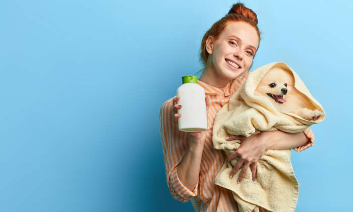 Hunde, die gerne baden, lassen sich recht einfach mit einem speziellen Flohshampoo behandeln. ( Foto: Adobe Stock- alfa27 )