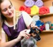 Beim Hund Ohren reinigen ( Foto: Adobe Stock- hedgehog94 )