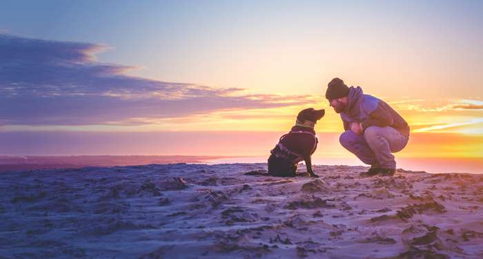 Welcher ist denn jetzt der schönste Strand, um mit Hund am Meer in Dänemark glücklich zu werden? ( Foto: Adobe Stock - Florian Kunde )