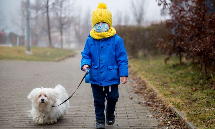 Neben dem Gebot des Abstandhaltens gibt es noch ein paar weitere Regeln, die Sie unbedingt beachten sollten, wenn Sie trotz einer verhängten Ausgangssperre mit Hund Gassi gehen müssen oder wollen. ( Foto: Shutterstock -  Tomsickova Tatyana )