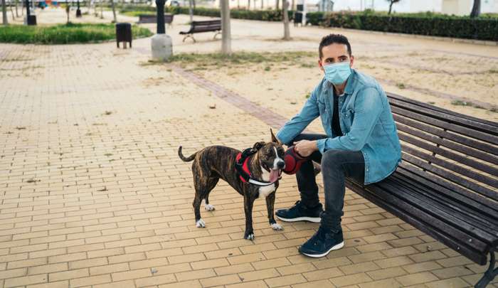 In dicht besiedelten Gegenden besitzen zumeist zahlreiche Menschen einen Hund. ( Foto: Shutterstock - Manu Padilla )